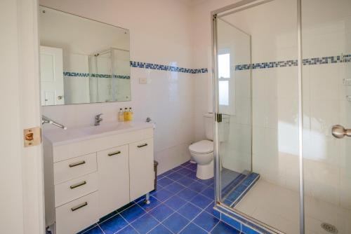 a bathroom with a shower and a sink and a toilet at Baileys Cottage in Adamstown