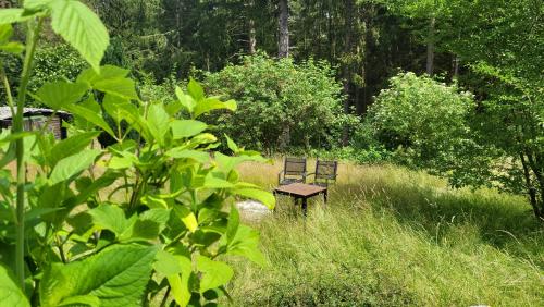 Κήπος έξω από το Ferienhaus Heart's Home Hahnenklee Harz