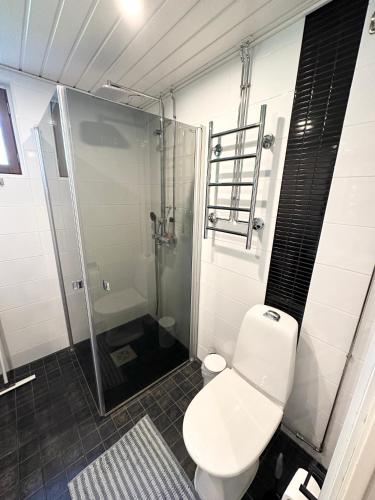 a bathroom with a white toilet and a shower at Spacious and modern apartment in Mikkeli