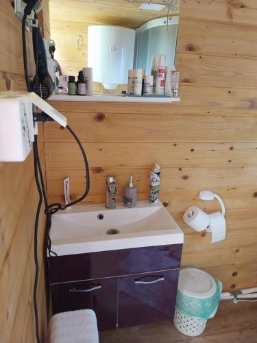 y baño con lavabo y espejo. en Glamping hišice Orlič, en Muta