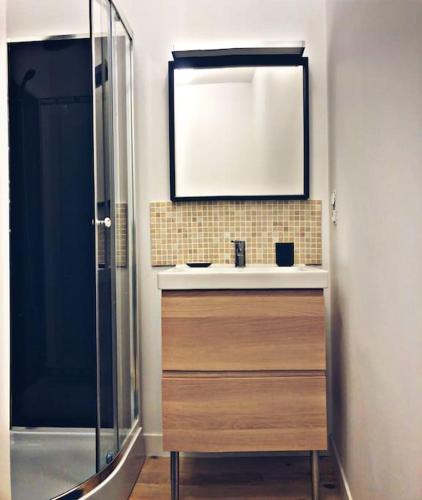 une salle de bain avec un lavabo et un miroir dans l'établissement Charmant T2 cosy à deux pas du centre, à Bayonne
