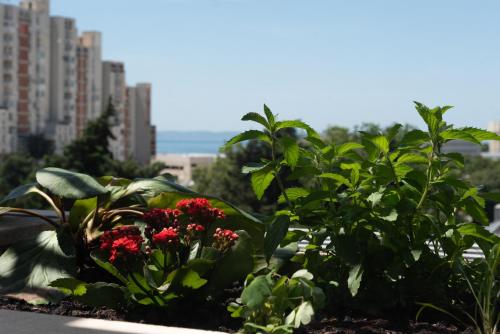 SunnyRose Apartment - walking distance from Znjan beach - free public parking - huge balcony