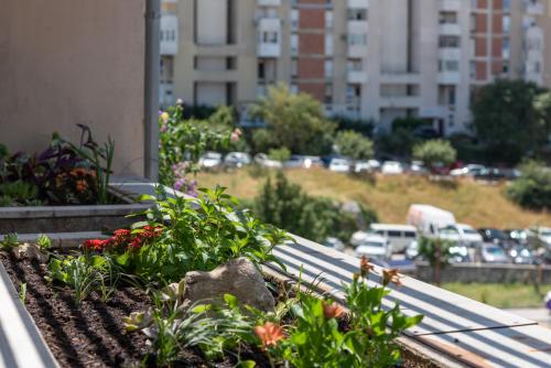 SunnyRose Apartment - walking distance from Znjan beach - free public parking - huge balcony