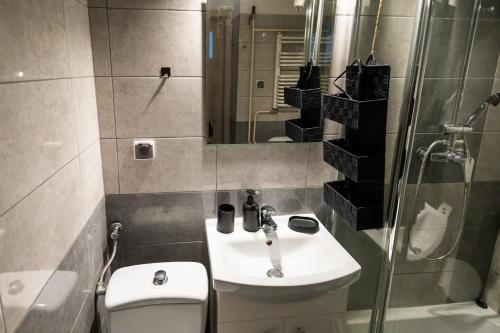 y baño con lavabo, aseo y ducha. en Apartament Plaza en Toruń