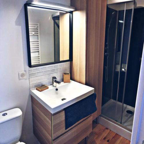 een badkamer met een wastafel en een douche bij Agréable T2 cosy proche du centre de Bayonne in Bayonne