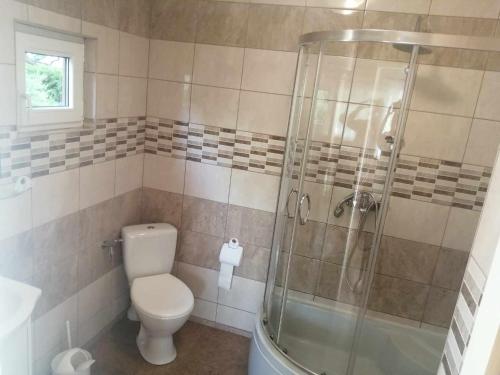 a bathroom with a toilet and a shower at DOMEK SASINO in Sasino