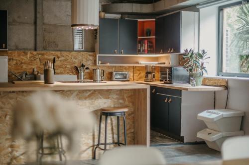 Il comprend une cuisine avec un lavabo et des toilettes. dans l'établissement Grand loft avec Jacuzzi et Home Cinema, à Saint-Brieuc