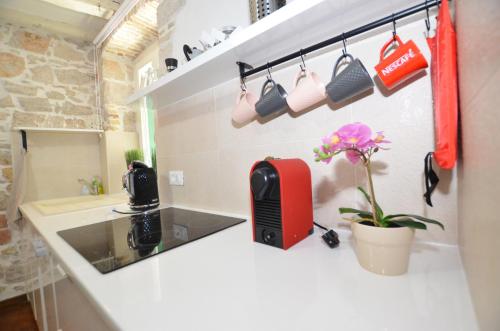 Pisinium Apartment