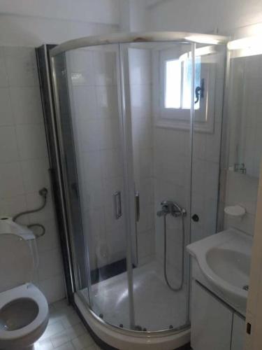 uma casa de banho com um chuveiro, um WC e um lavatório. em Serene appartment at St. Ioannis em Agios Ioannis Pelion