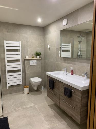 une salle de bain avec un lavabo, des toilettes et un miroir dans l'établissement Rez de villa Peymeinade, à Peymeinade