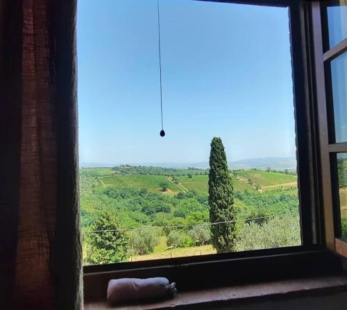 a window with a view of a green field at Agriturismo Salaiolo 176 in Scansano