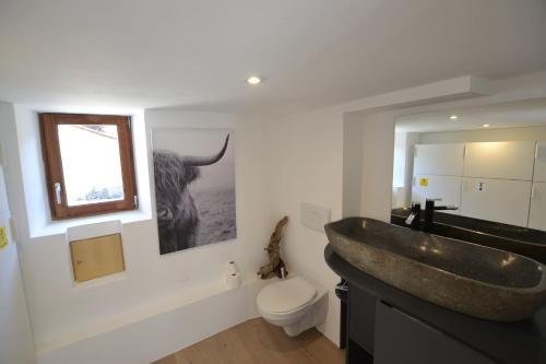 baño con lavabo grande y aseo en Skyfall Maison en Valcebollère