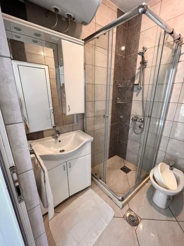 ein Bad mit einer Dusche, einem Waschbecken und einem WC in der Unterkunft Apartments Apartmani Bojana in Utjeha