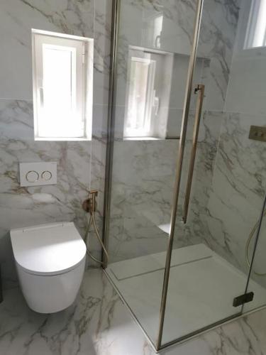 une salle de bain avec toilettes et douche en verre dans l'établissement La petite Niçoise au Jacuzzi à 3 min de la mer, à Nice