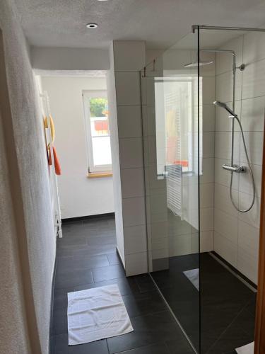 bagno con doccia e porta in vetro di Appartements-Restaurant Schwaiger a Tauplitz