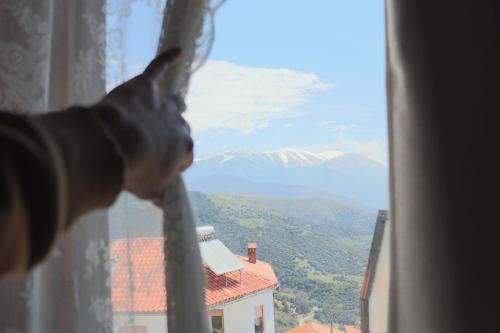 a dog looking out a window at a mountain view at Hotel Mitikas in Livádion