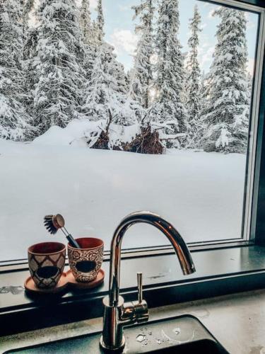 Peaceful Oasis. Panoramic forest- & mountain view. Sauna. v zimě