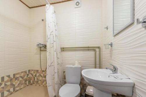 La salle de bains est pourvue de toilettes et d'un lavabo. dans l'établissement ROMANTIK, à Solotvyno