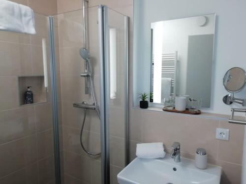 a bathroom with a shower and a sink and a mirror at Premium Apartment mit Terrasse in Wörth
