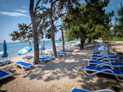 a row of chairs and umbrellas on a beach at Hotel Villa Rosetta in Savudrija