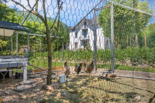 a group of turkeys in a cage in front of a house at le clos grillet in La Chambre