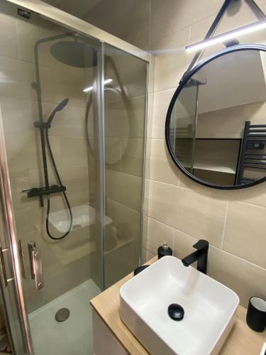 ein Bad mit einer Dusche, einem Waschbecken und einem Spiegel in der Unterkunft T2 4 places 4min à pied Château in Pau