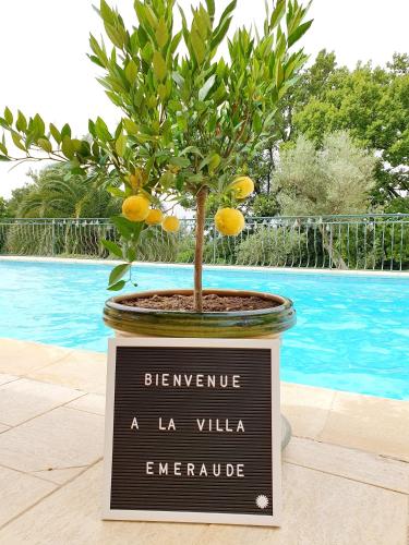 un signe avec un citronnier dans un pot dans l'établissement La Villa Émeraude, à Flayosc