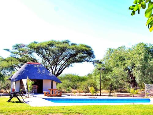 Abenab Lodge & Tours cc في Grootfontein: شرفة مع سقف أزرق بجوار حمام سباحة