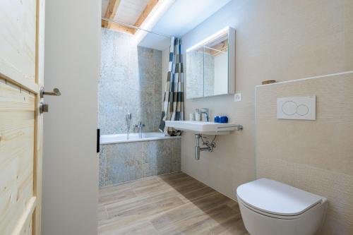 La salle de bains est pourvue de toilettes et d'un lavabo. dans l'établissement Villa mitoyenne proche des bains, à Saillon