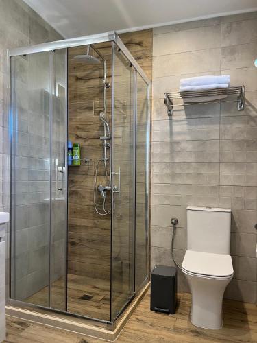 a shower stall in a bathroom with a toilet at AMMOS Beach apartment in Sidari
