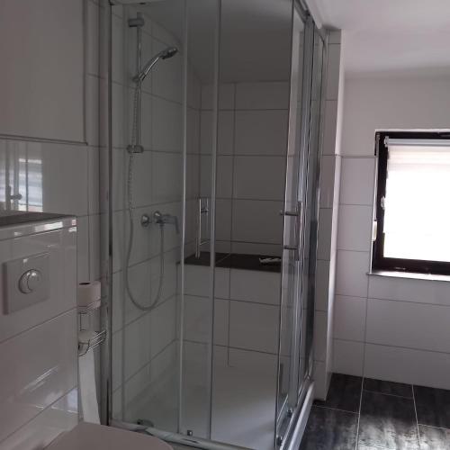 a glass shower in a bathroom with a window at Ferienwohnung Heinzelfrauchen - nur Urlaubsgäste in Schoden