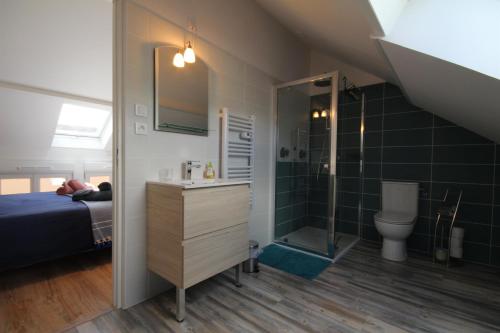 a bedroom with a bed and a shower and a sink at Gîte de Savenay in Aunay-en-Bazois