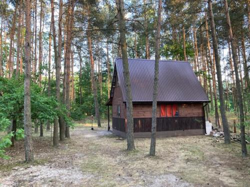 a log cabin in the middle of a forest at Czekoladowy Domek in Nadkole