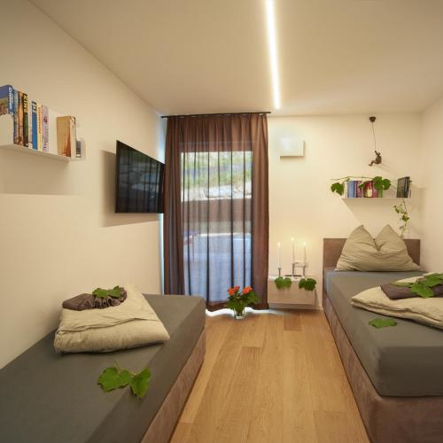 a living room with two beds and a window at Garden e Wellness LE VIGNE - relax e luxus in Tesimo