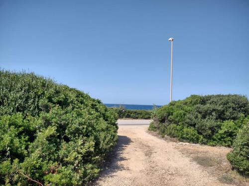 a dirt road between two hedge hedges at Sal y Mar in Torre San Giovanni Ugento