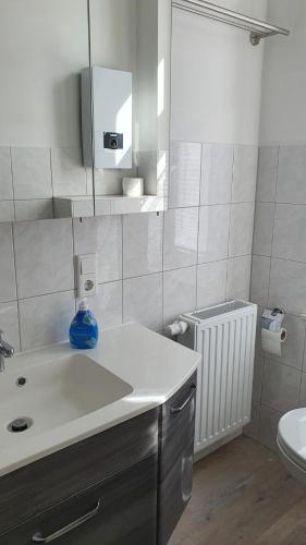 y baño con lavabo y aseo. en Alt-Berliner Schwanenhof - Ferienwohnungen Lychen en Lychen