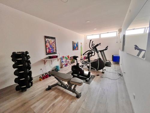 a gym with treadmills and exercise bikes in a room at Apartments Villa Lukas in Cavtat