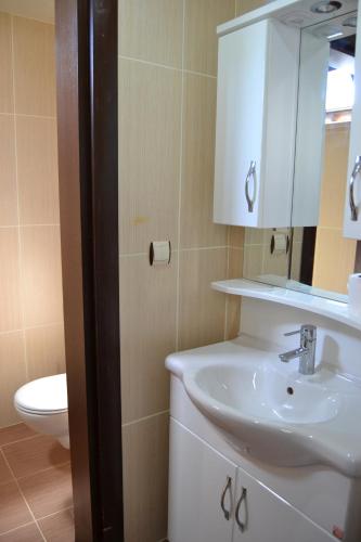 a bathroom with a white sink and a toilet at Ada Adrasan Hotel in Adrasan