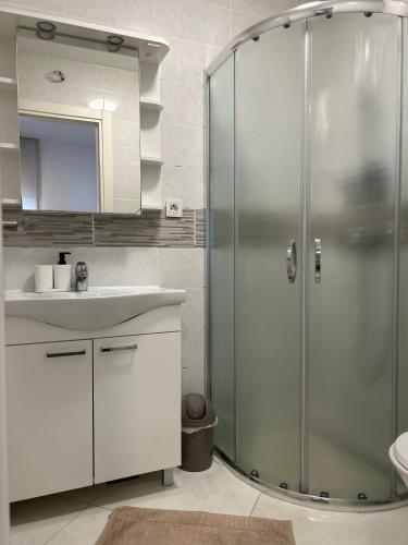 a bathroom with a glass shower and a sink at Apartment Rovci 1 in Slatine