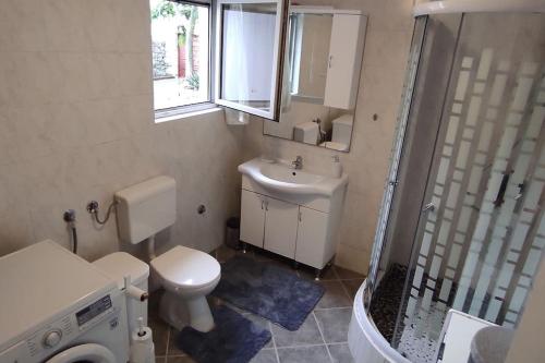 een badkamer met een toilet, een wastafel en een douche bij Lukari Vacation Home in Drivenik