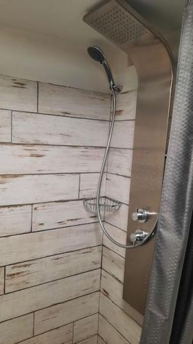 une douche avec pommeau de douche dans une salle de bain dans l'établissement Idéalement situé cœur du village - calme & confort, à Saint-Étienne-de-Tinée