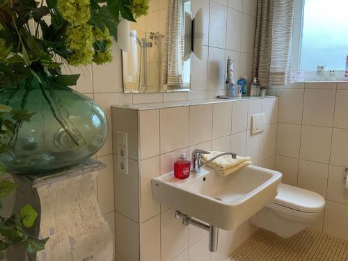 ein Badezimmer mit einem Waschbecken, einem WC und einer Vase in der Unterkunft Apartment Haus Aktiv Garten in Winterberg