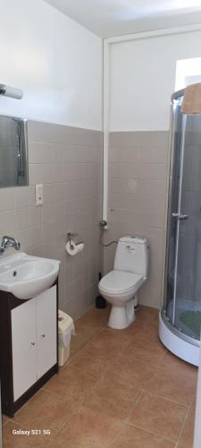 a bathroom with a toilet and a sink and a shower at UniBal - pokoje gościnne in Unieście