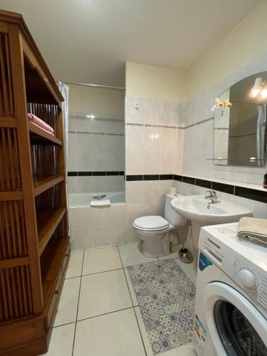 bagno con lavandino e servizi igienici e lavatrice. di Prana Lodge Saint Gilles les Bains 800 m de la plage a Saint-Gilles-les Bains