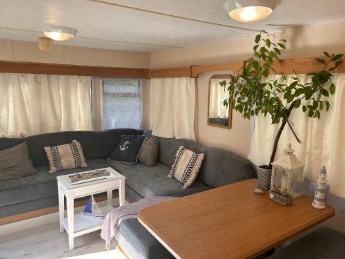 ein Wohnzimmer mit Sofa und Tisch in der Unterkunft Domki na Kwiatowej Okuninka - Orchówek in Orchówek
