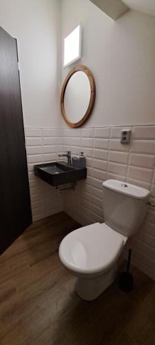 a bathroom with a toilet and a sink and a mirror at Pension ANDREA in Mikulov