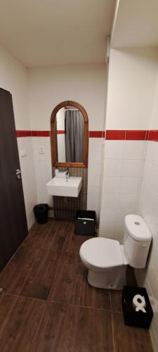 a bathroom with a toilet and a sink at Pension ANDREA in Mikulov