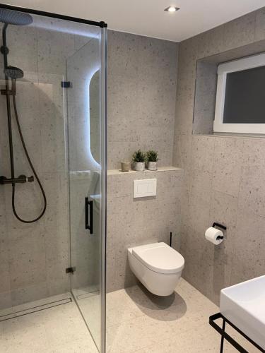 a bathroom with a toilet and a glass shower stall at 3C Boutique Apartments Nrº14 in Mainburg