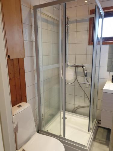 e bagno con servizi igienici e doccia in vetro. di Ålesund ad Ålesund