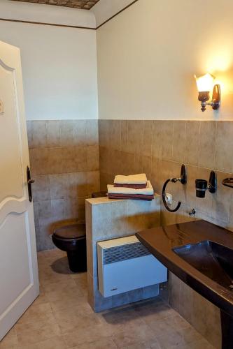 a bathroom with a sink and a toilet at Gîte de campagne Clos Beau Soleil in Caumont-sur-Durance